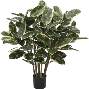 Elastica Robusta kunstplant 100cm