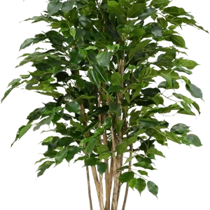 Ficus Exotica deluxe kunstplant 125cm – groen