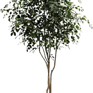 Ficus Exotica kunstboom 330cm