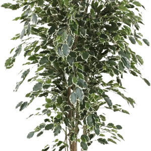 Ficus Exotica deluxe kunstboom 180cm – bont