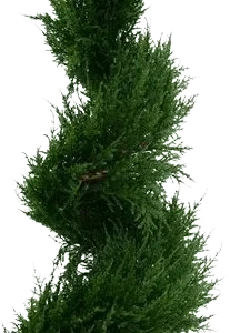 Conifeer spiraal deluxe kunstboom 100cm