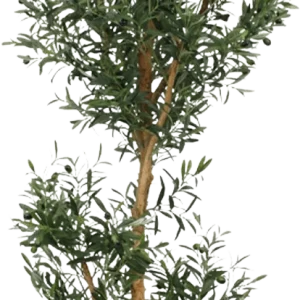 Kunst Olijfboom promo 180cm