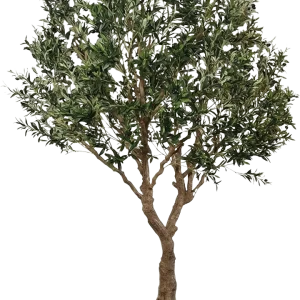 Kunst Olijfboom XL op plaat 300cm