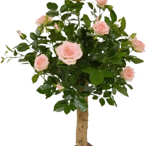 Kunstroos op stam 75cm – roze