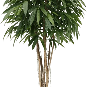 Longifolia ball deluxe kunstboom 180cm