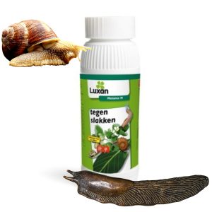 Luxan Slakkenkorrels – Metarex M