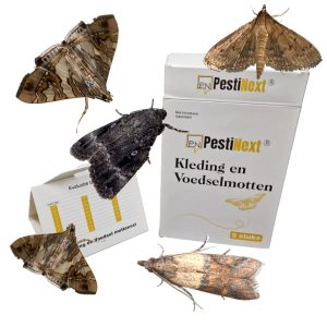 5 stuks Multi Mottenval – PestiNext