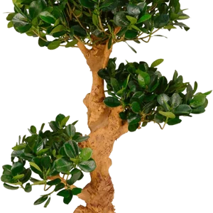 Panda Bonsai x3 kunstboom op voet 90cm