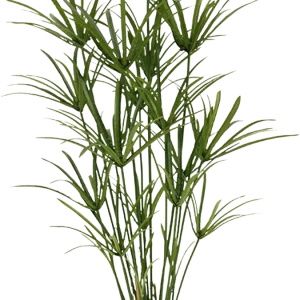 Papyrus deluxe kunstplant 135cm