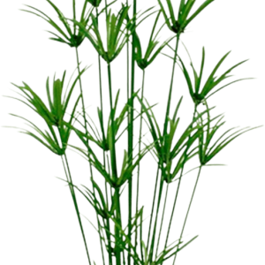 Papyrus deluxe kunstplant 175cm