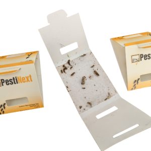 Insecten Lijmval – Insectenval – 30 stuks – PestiNext