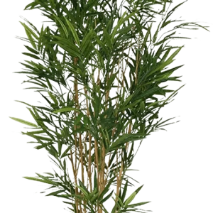Royal Bamboe kunstboom 165cm – groen