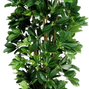 Schefflera kolom kunstplant 120cm
