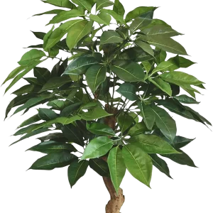 Schefflera Amate deluxe kunstplant 105cm