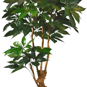 Scheflera Amate deluxe kunstboom 165cm