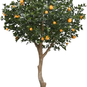 Sinaasappel deluxe Giant kunstboom 275cm
