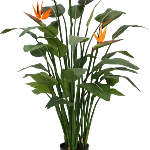 Strelitzia kunstplant deluxe 145cm