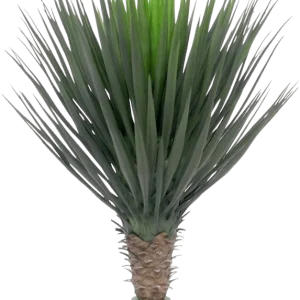 Yucca Rostrata kunstplant 80cm
