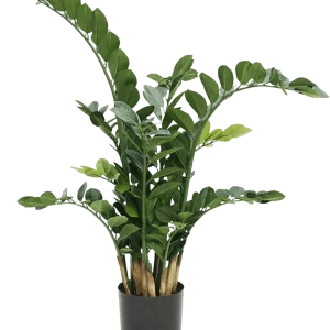 Zamioculcas kunstplant 100cm